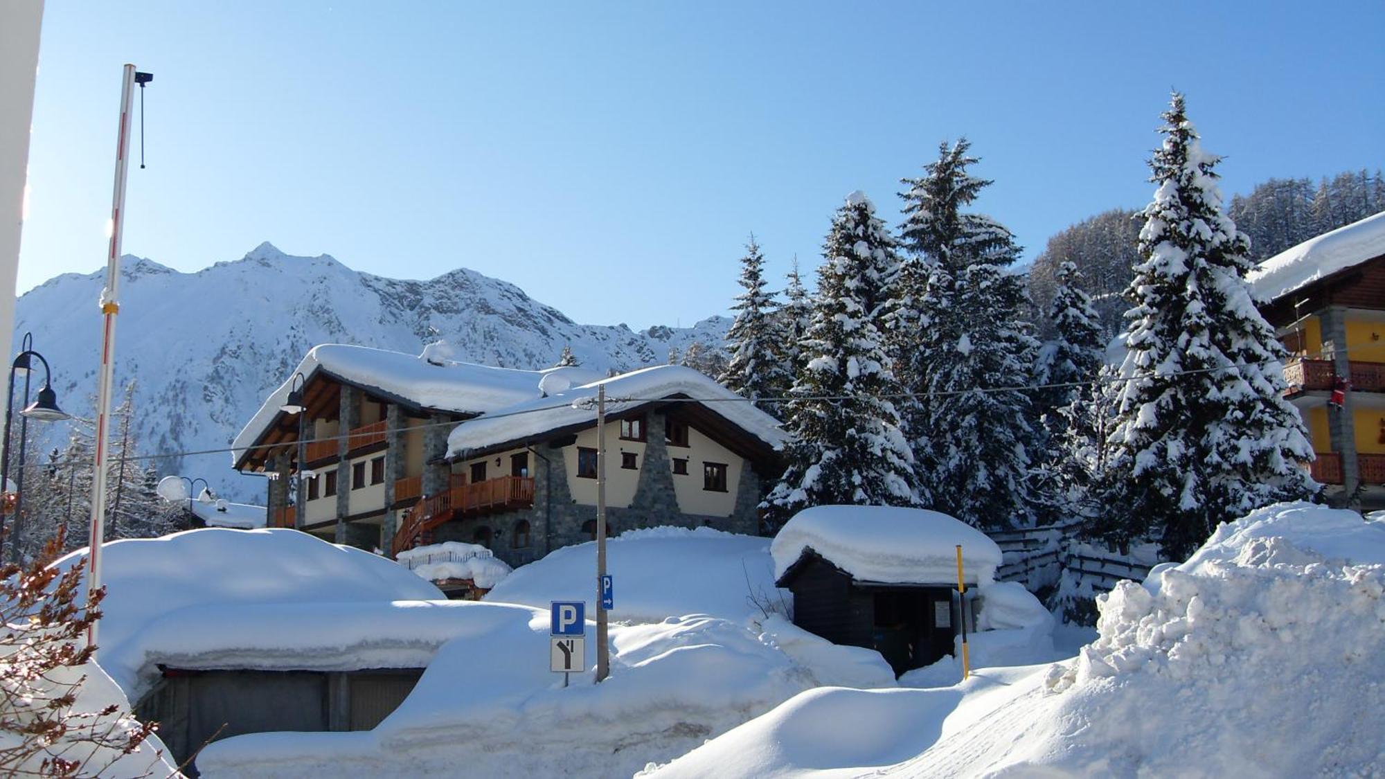 Residence Les Myosotis Champoluc Eksteriør billede